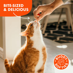  Buddy Biscuits Softies sans gluten, sans blé ni maïs ni soja.