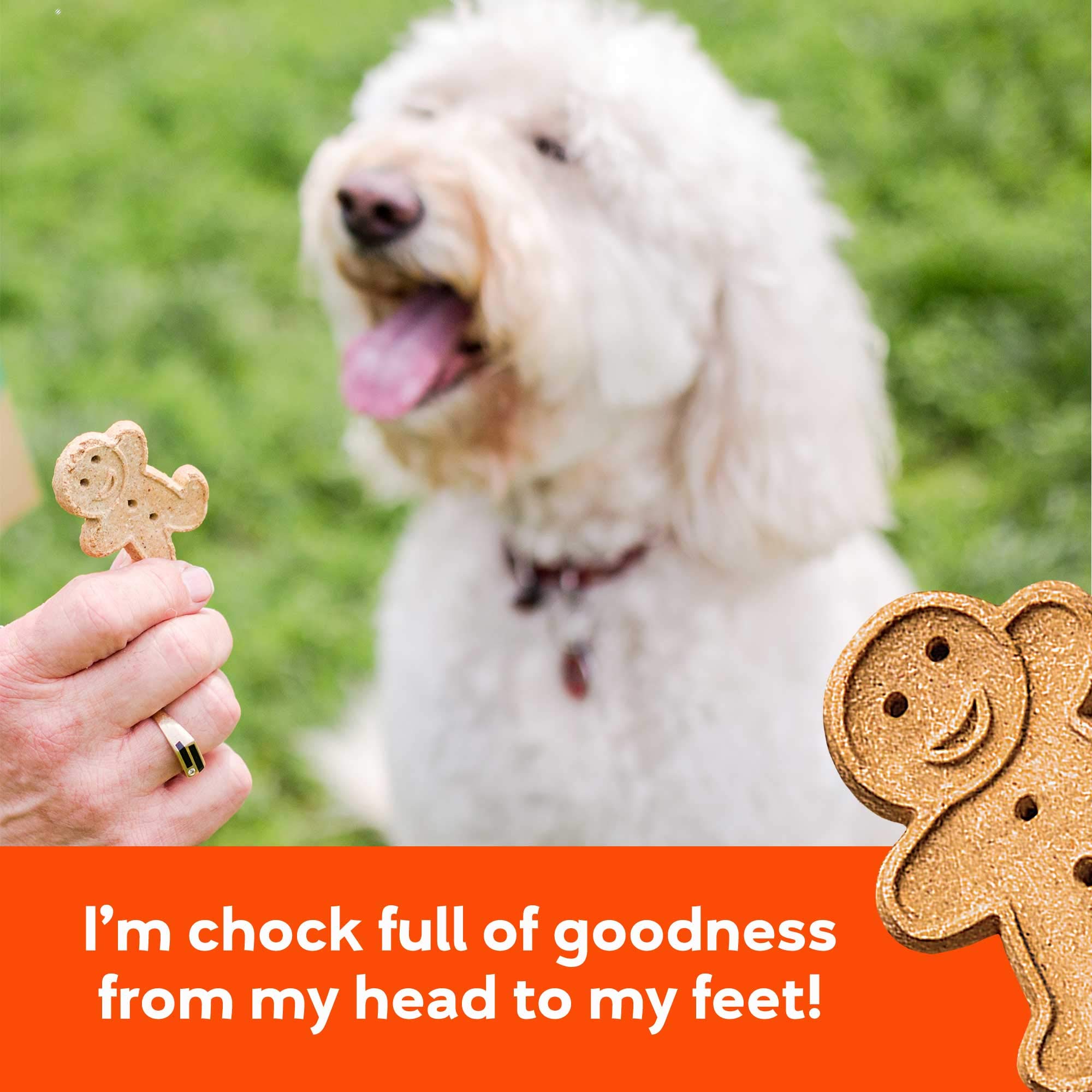 Buddy Biscuits Croquant adapté à tous les chiens, du chiot à l'adulte.