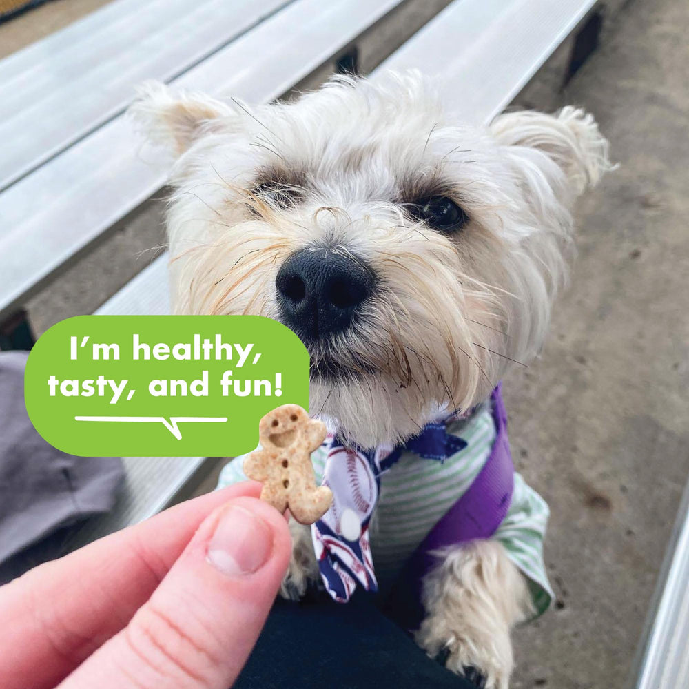  Buddy Biscuits: fabriqué aux États-Unis avec ingrédients locaux et importés
