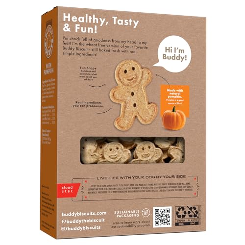 Buddy Biscuits: forme gingerkid, détail mignon qui attire l’œil.