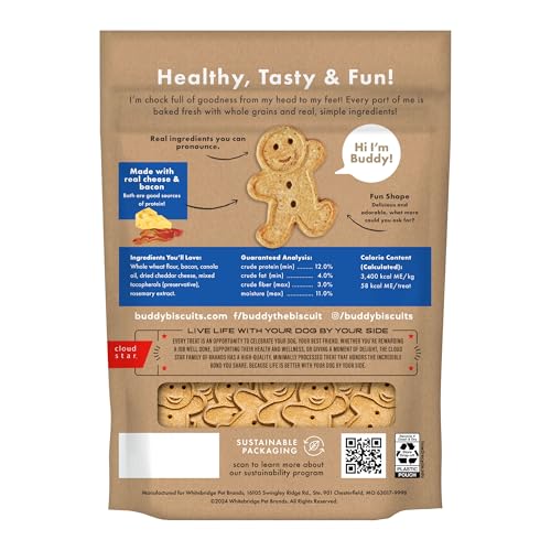 Buddy Biscuits en forme de petit bonhomme pain d'épice, amusant et appétissant.