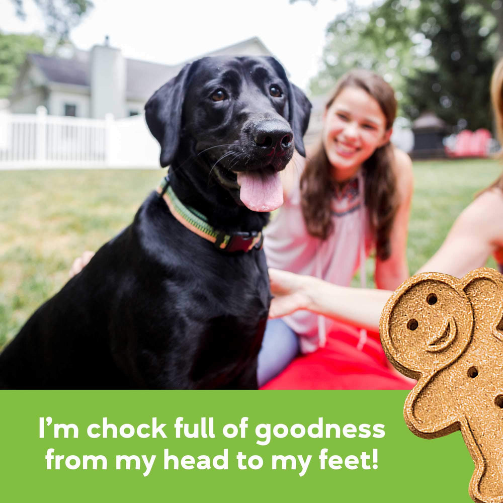 Ingrédients simples et naturels des Buddy Biscuits sans artificiels.