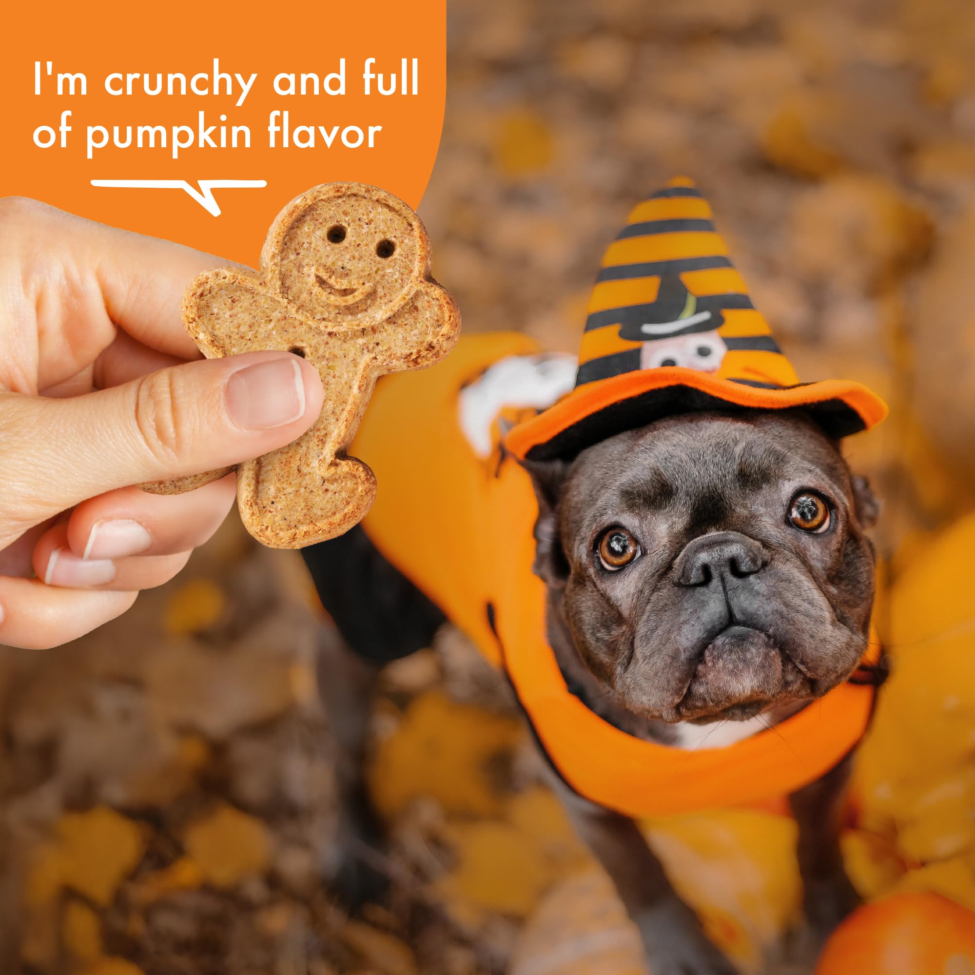 Buddy Biscuits: potiron naturel, goût agréable et fibre bénéfique.