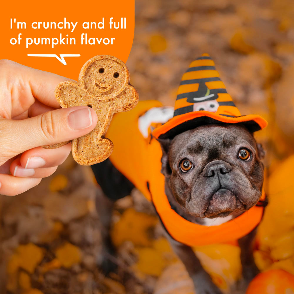 Buddy Biscuits: potiron naturel, goût agréable et fibre bénéfique.
