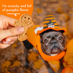 Buddy Biscuits: potiron naturel, goût agréable et fibre bénéfique.