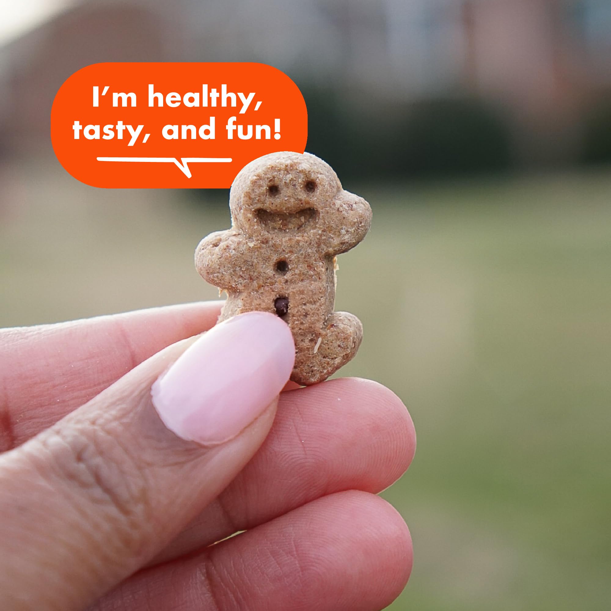 Buddy Biscuits – sans additifs, colorants et arômes artificiels