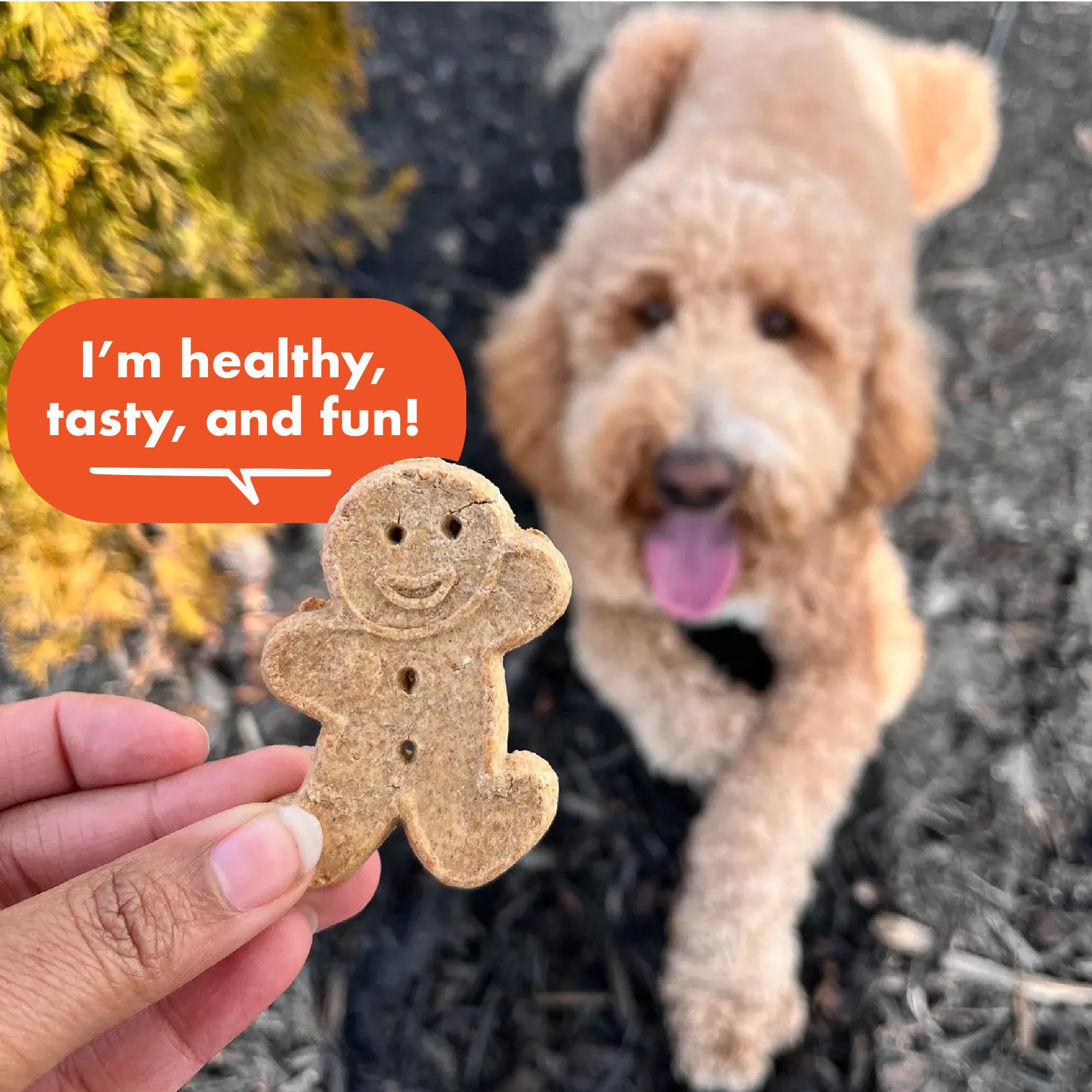 Buddy Biscuits : sans Maïs, soja et arômes artificiels.