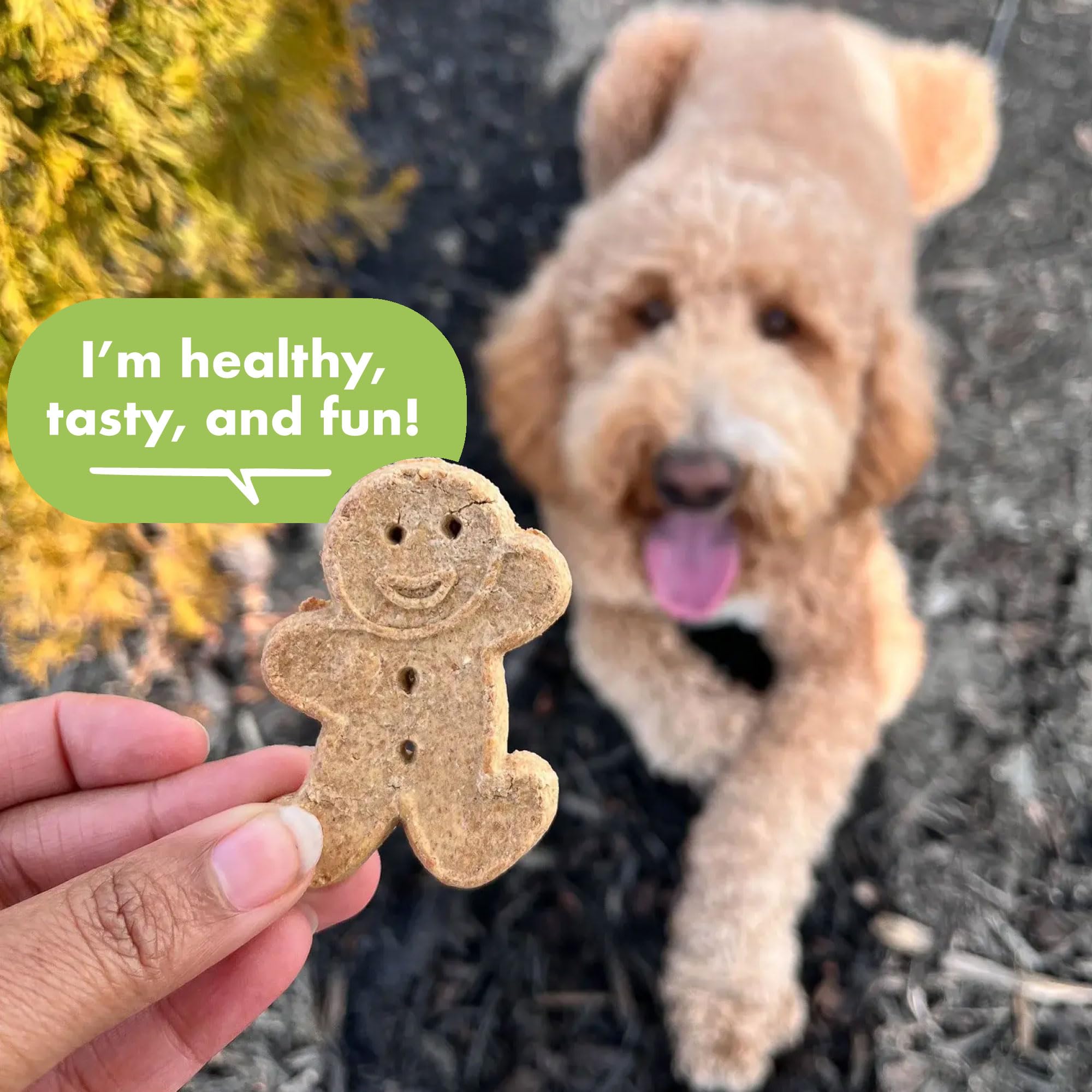 Buddy Biscuits sans maïs soja arômes artificiels friandise pure