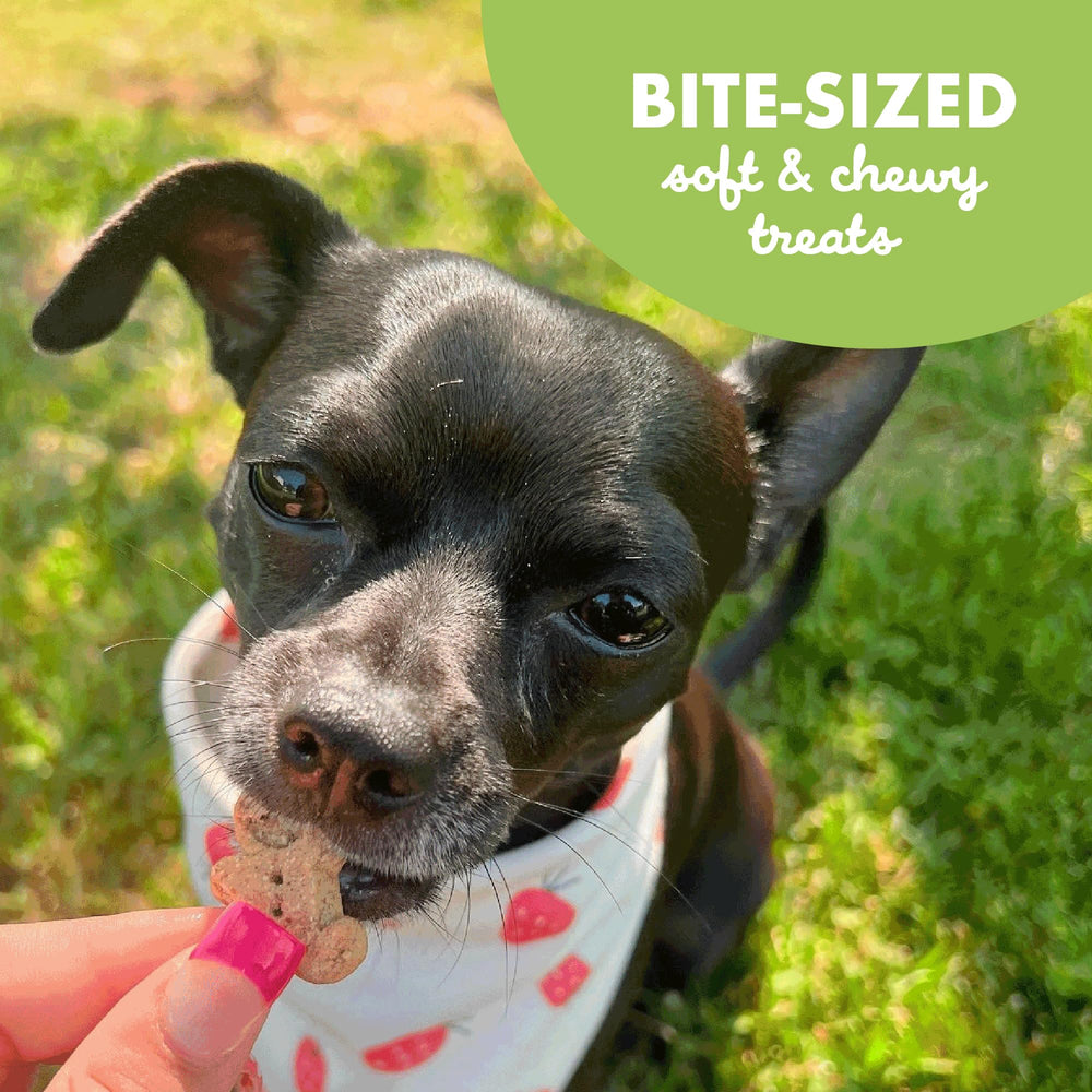 Fabriqué aux États‑Unis: qualité Buddy Biscuits