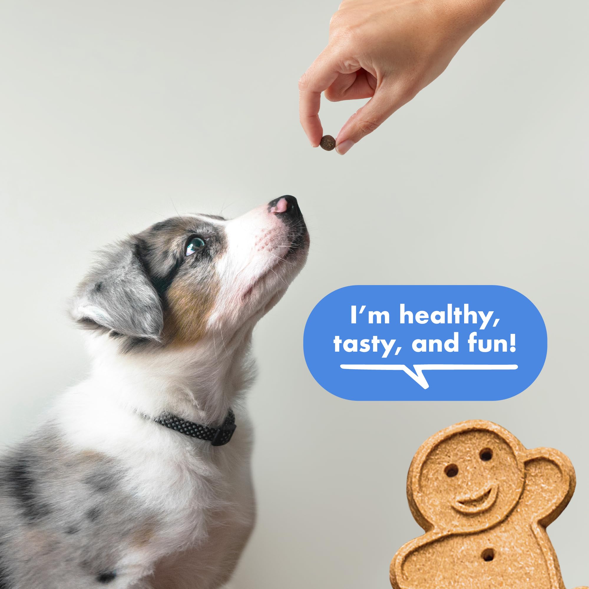 Buddy Biscuits Trainers : bacon naturel, goût appétissant qui motive les sessions d'entraînement.