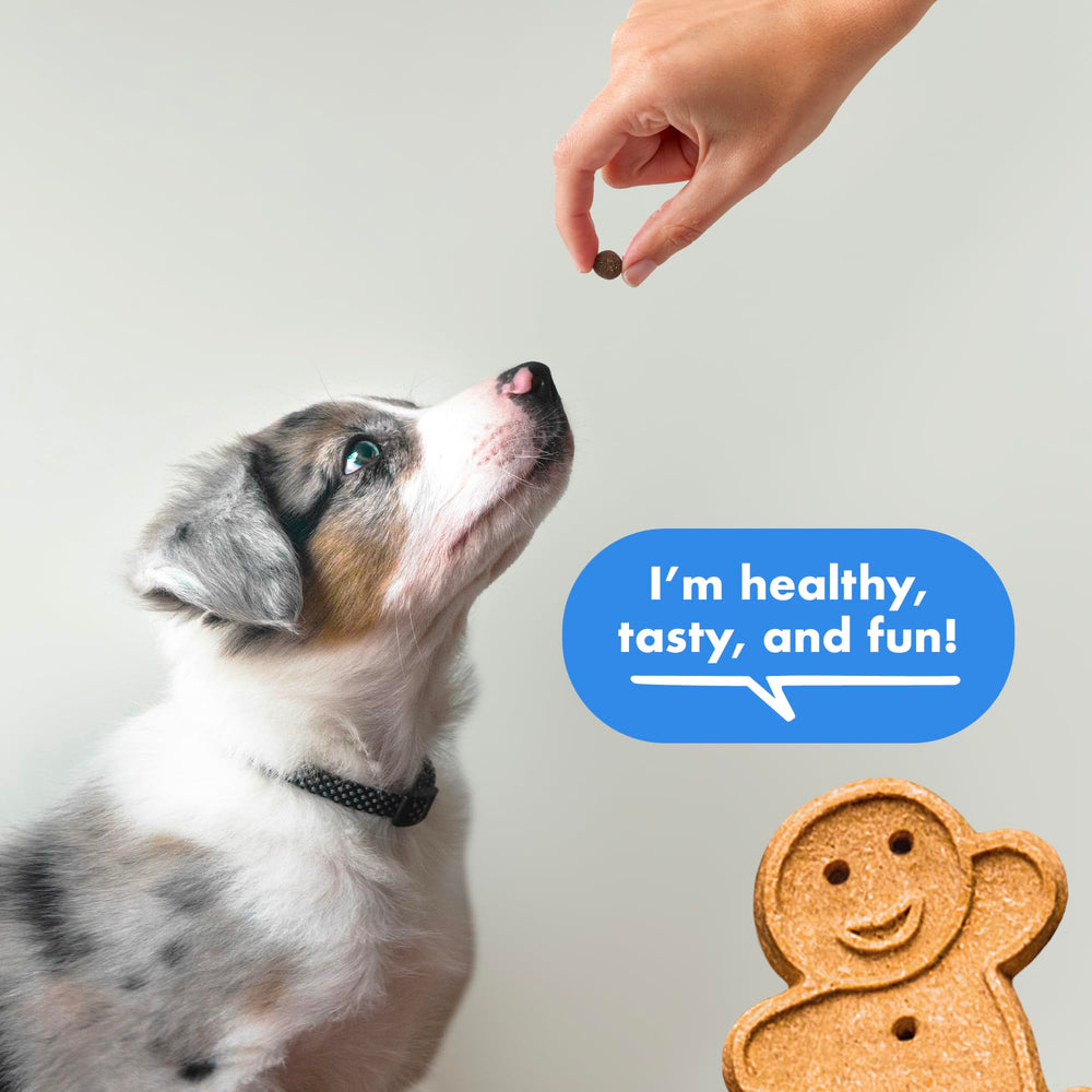 Buddy Biscuits Trainers : bacon naturel, goût appétissant qui motive les sessions d'entraînement.