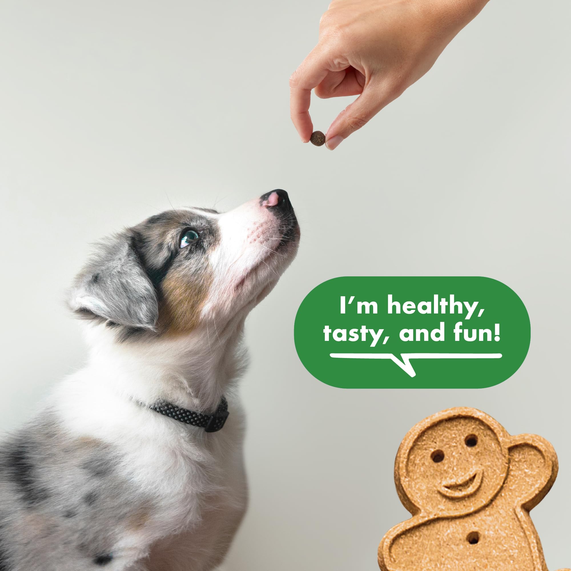 Goût poulet naturel de Buddy Biscuits Trainers, stimulant l'appetit pendant l'entraînement.