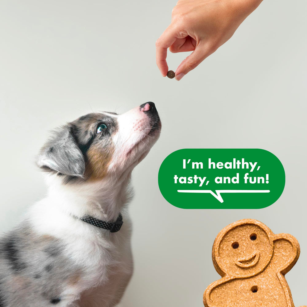 Goût poulet naturel de Buddy Biscuits Trainers, stimulant l'appetit pendant l'entraînement.