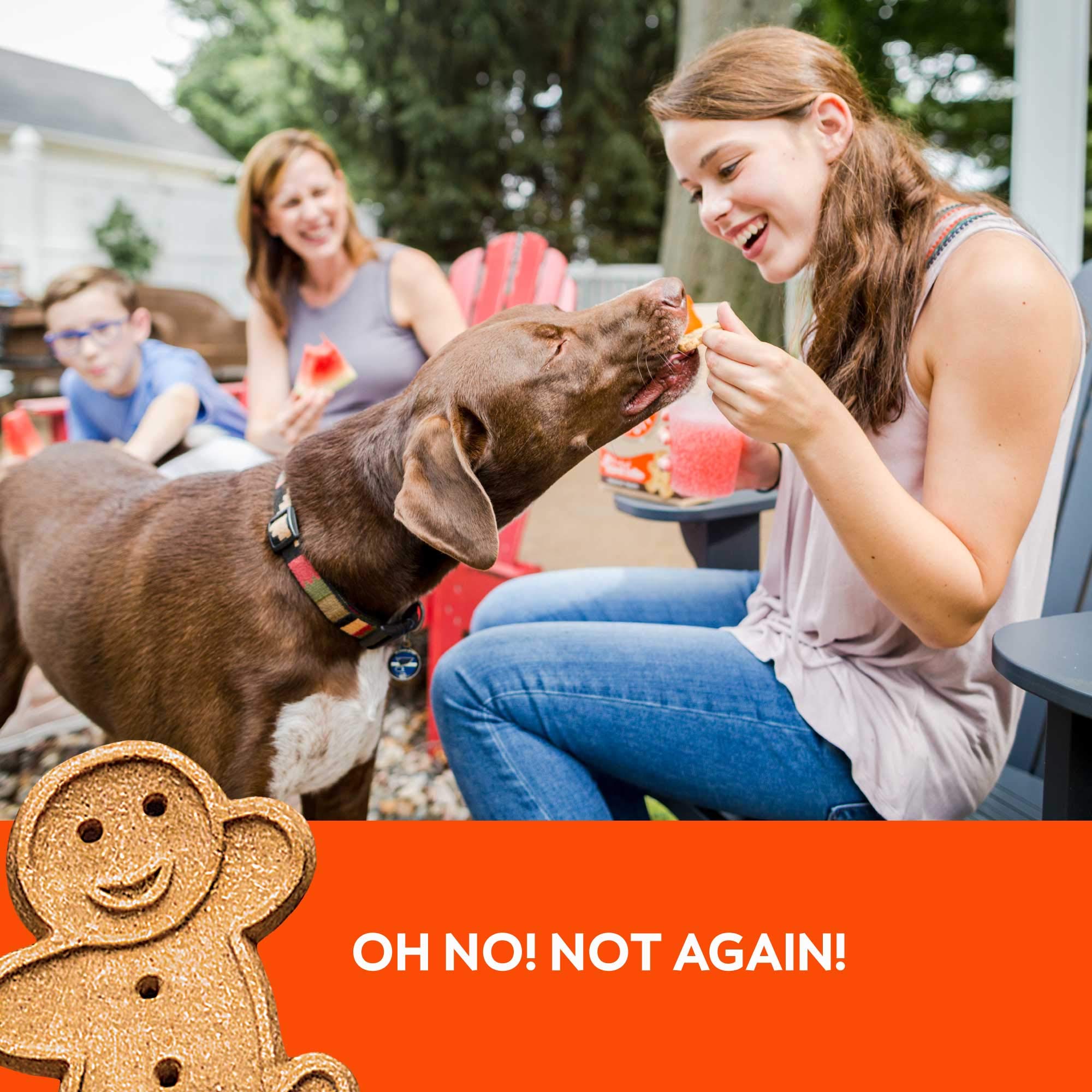 Buddy Biscuits Utilisation quotidienne comme collation entre les repas.