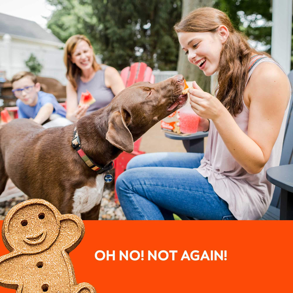 Buddy Biscuits Utilisation quotidienne comme collation entre les repas.
