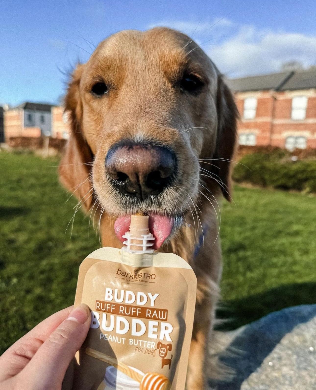 BUDDY BUDDER portions de 113 g, pratique pour des collations équilibrées quotidiennes
