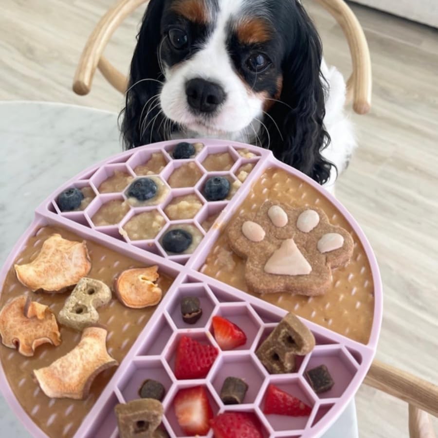 Buddy Budder remplissage-jouet-chien — enrichment durable pour séances ludiques.
