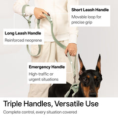 BuddyArmor Laisse mains libres, absorbeur de choc elastique pour tirages atténués.