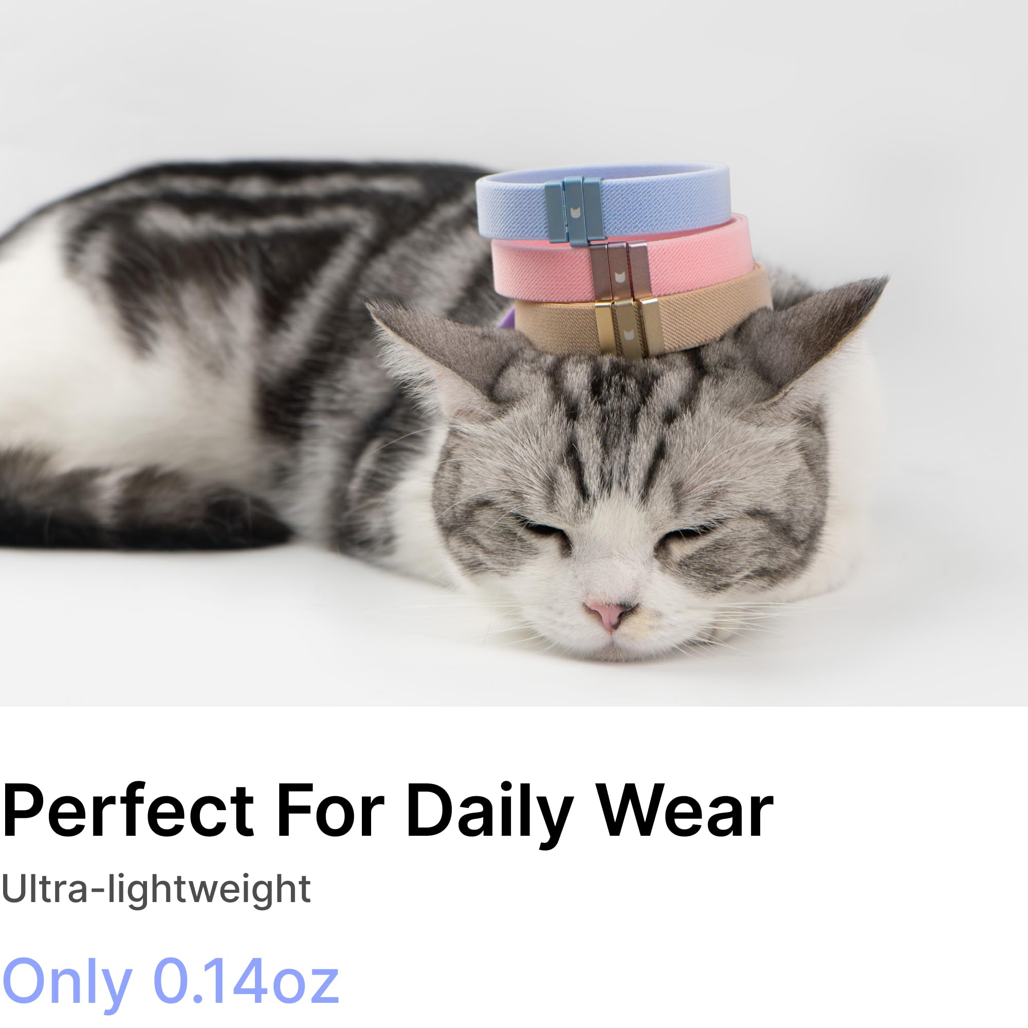 Support étiquette et porte AirTag compatibles pour suivre votre chat.