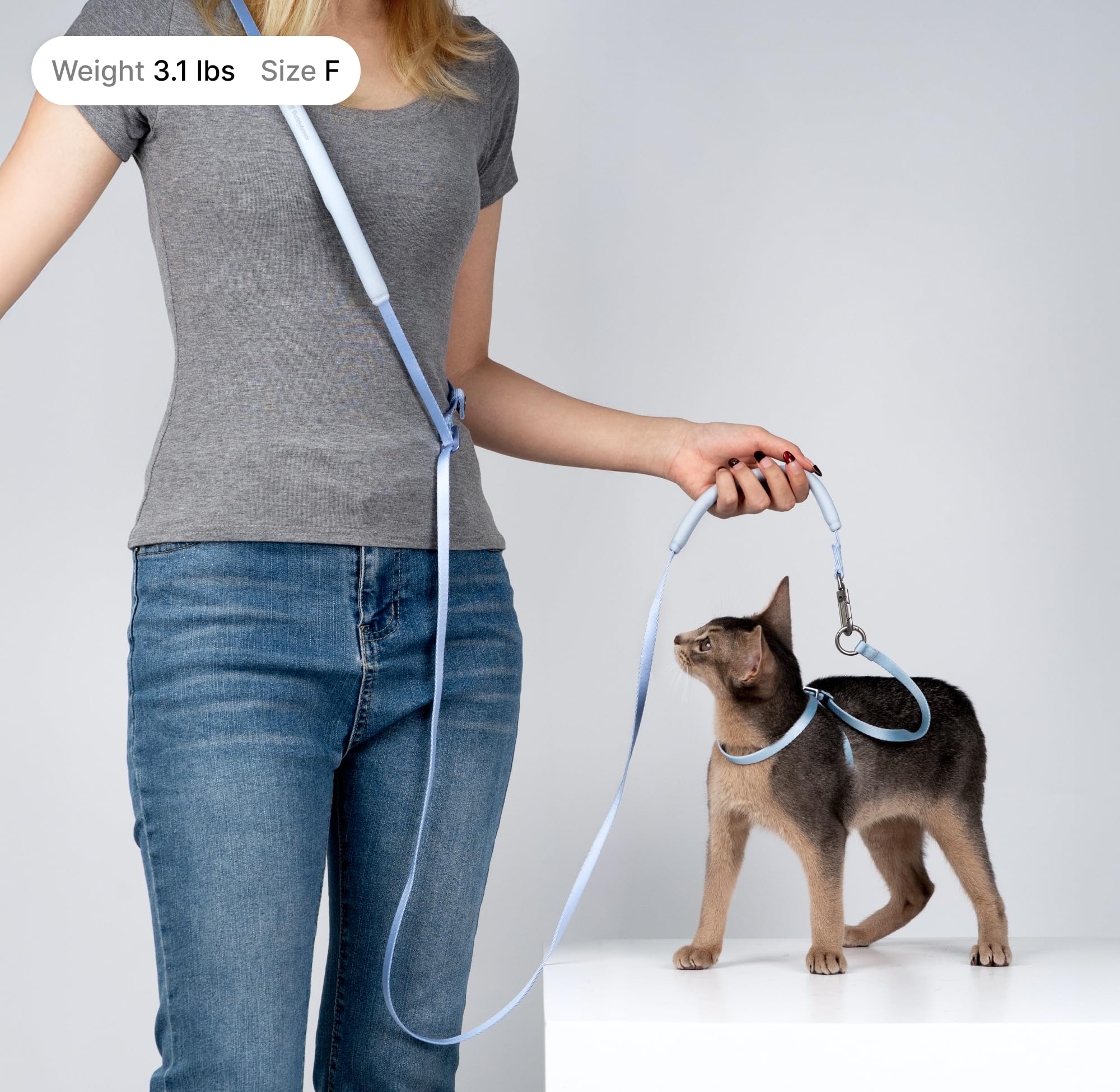 Ensemble harnais et laisse BuddyArmor, idéal pour chats actifs et apprenants.