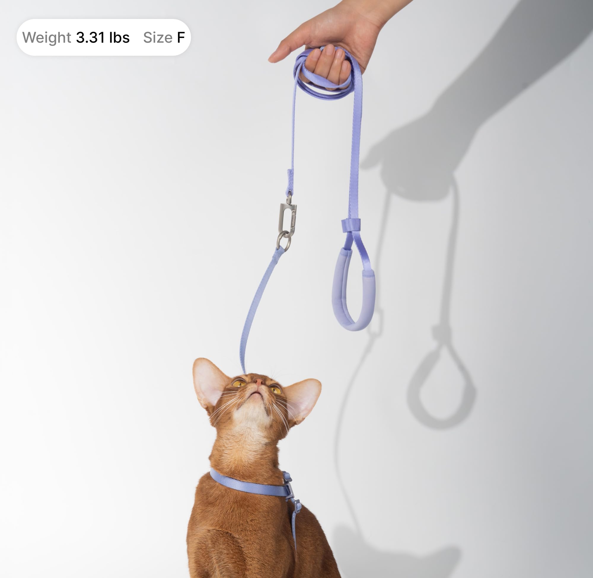 BuddyArmor-harnais-ajustable-taille convient petits et grands chats.