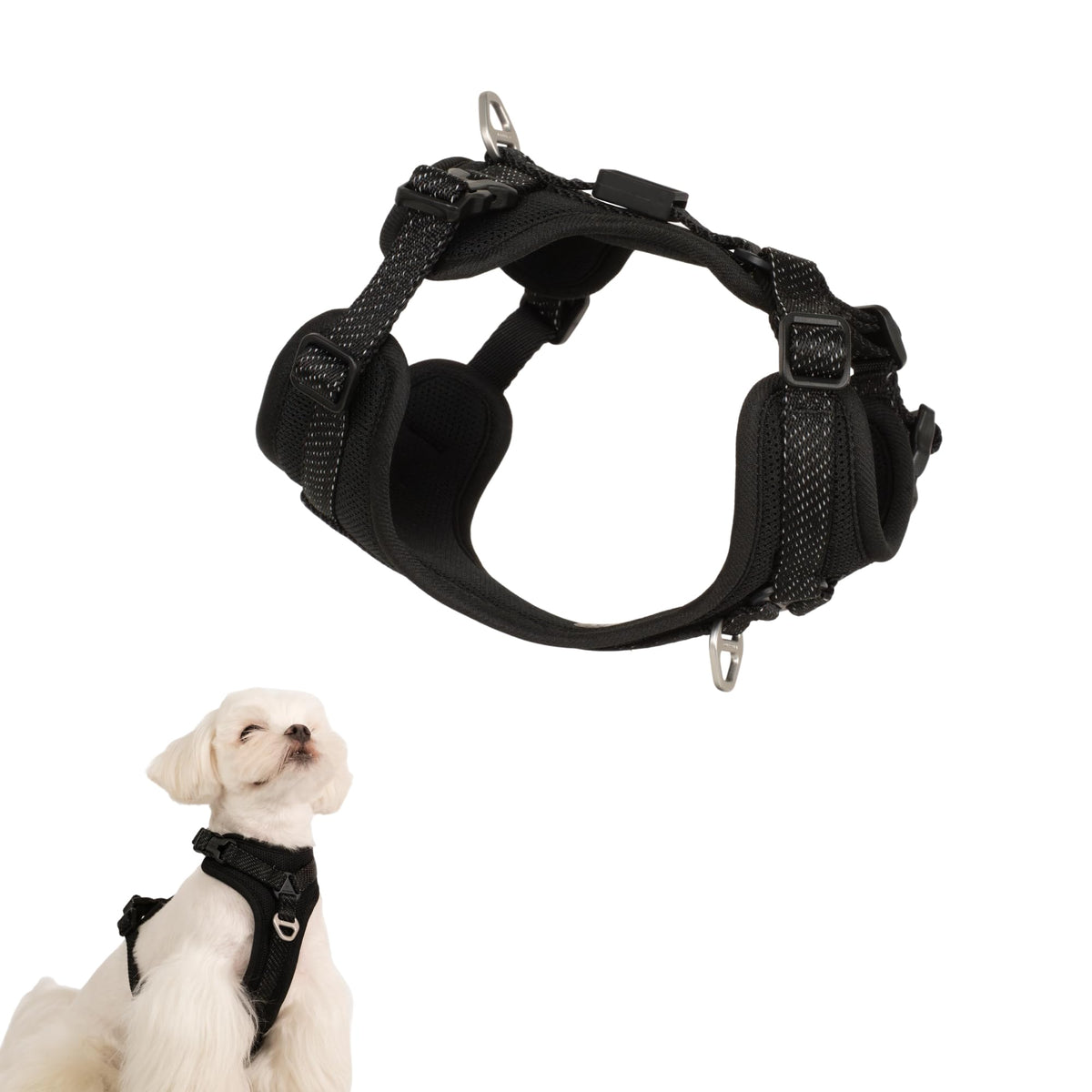 Harnais BuddyArmor tout-temps réflectif noir XS pour promenades sécurisées
