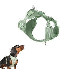 BuddyArmor Harnais chien vue avant, confort et sécurité renforcée.