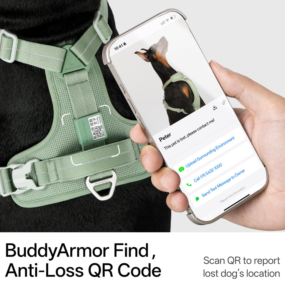 BuddyArmor code QR intégré pour localisation rapide du chien.