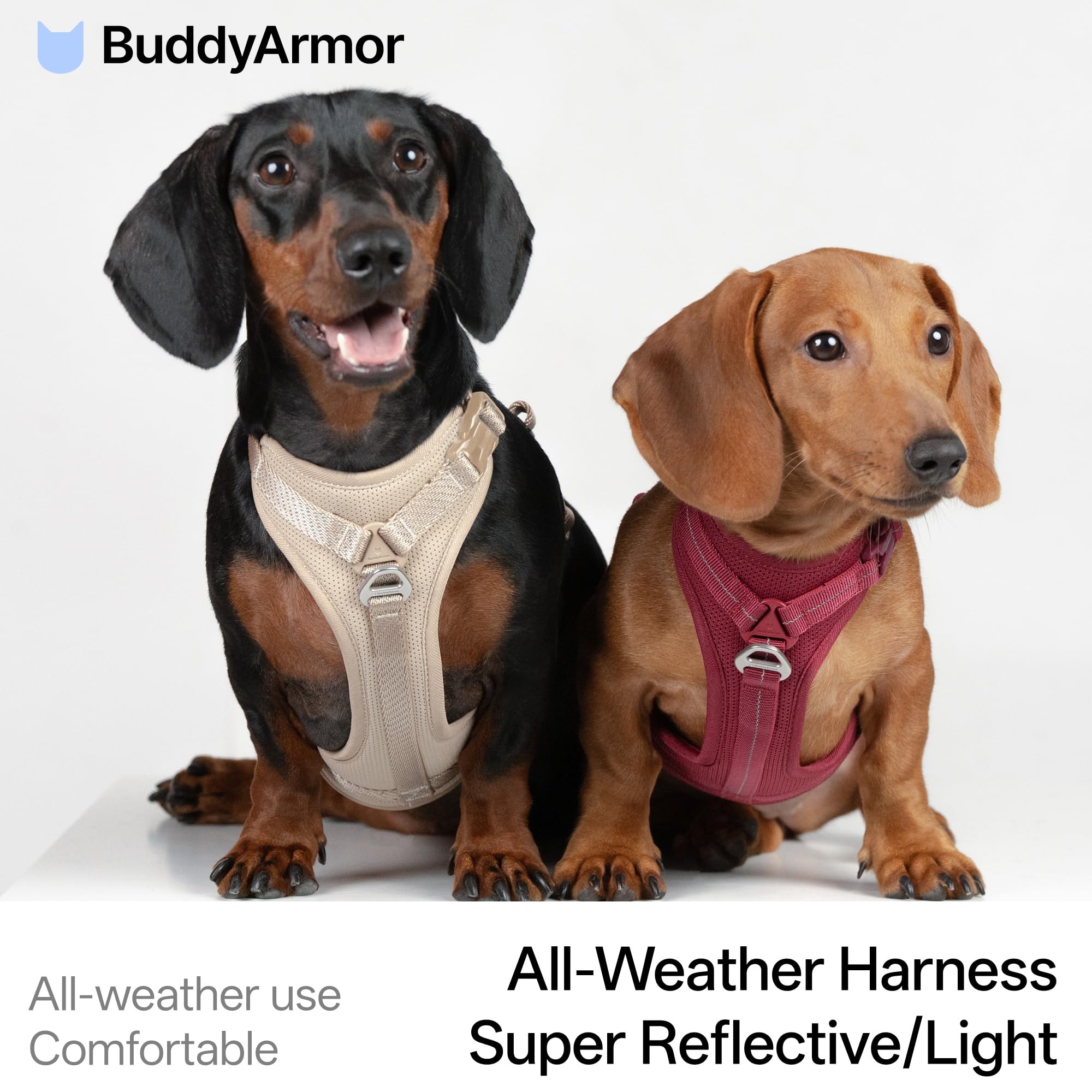 Harnais BuddyArmor en tissu respirant pour des promenades plus longues.