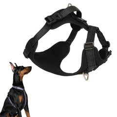 BuddyArmor harnais tout temps: confort constant pour promenades quotidiennes.