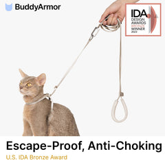 Laisse BuddyArmor anti-évasion assurant sécurité et contrôle pendant les sorties.