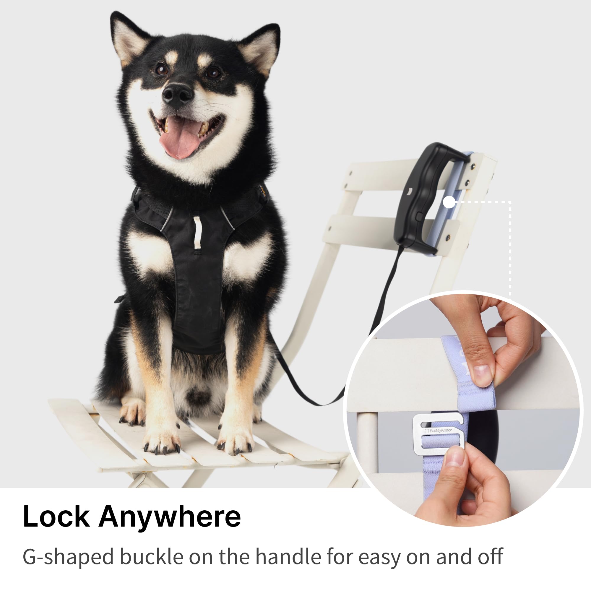 BuddyArmor longe 5,58 pieds pour une liberté adaptée aux chiens jusqu’à 33 lb.