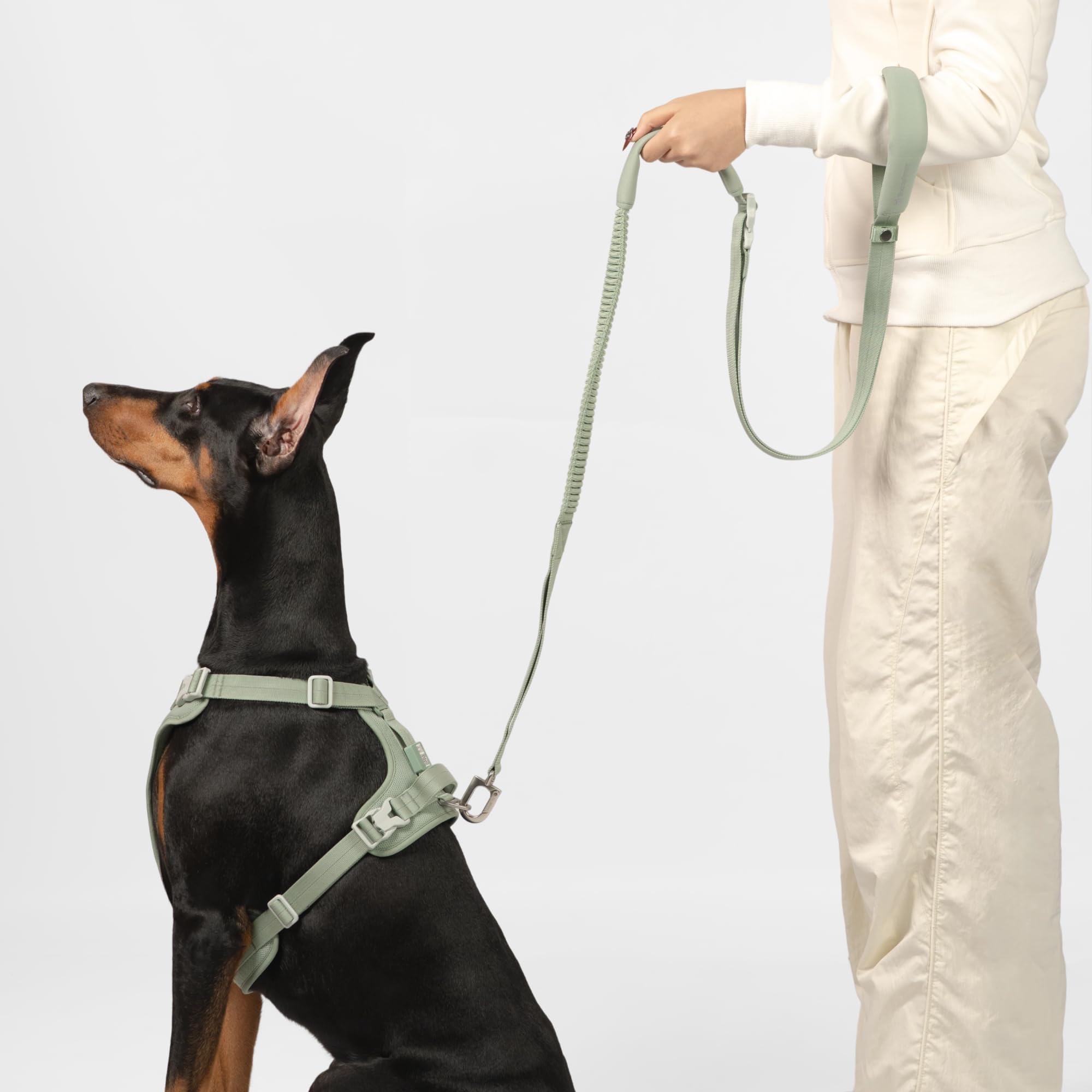 BuddyArmor Laisse mains libres, nylon doux et durable pour usage quotidien.