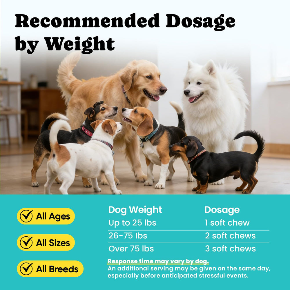Formulation de qualité BuddyCheer conforme aux conseils vétérinaires pour chiens de tous âges.