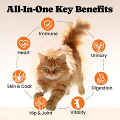 BuddyCheer pelage brillant et peau saine grâce aux vitamines essentielles.