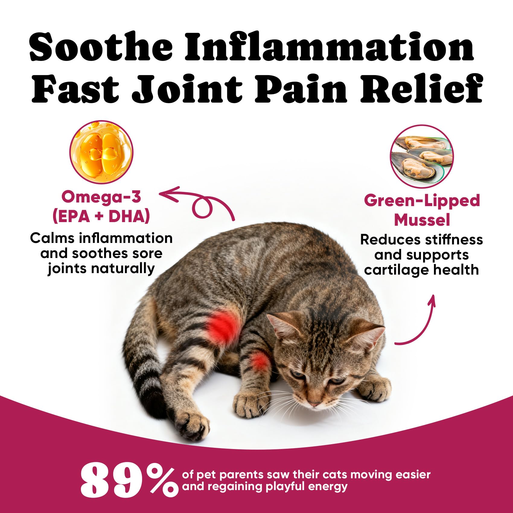 BuddyCheer chondroïtine chat: soutien du cartilage et de l amorti naturel