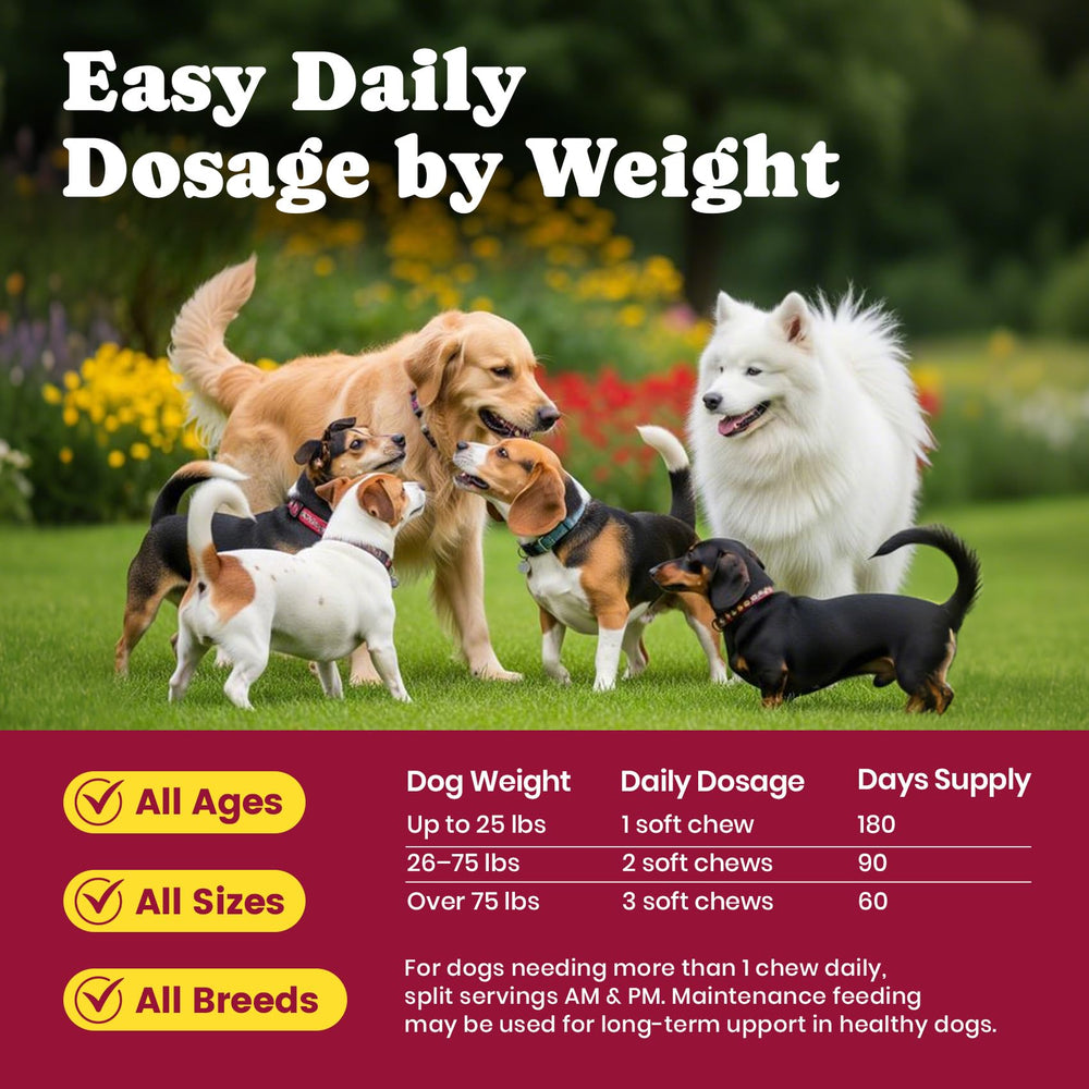 Adapté pour les grandes races avec BuddyCheer glucosamine pour chiens.