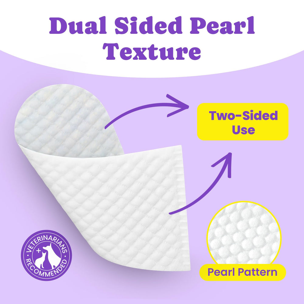 BuddyCheer lingettes dentaires portables, parfaites en voyage.