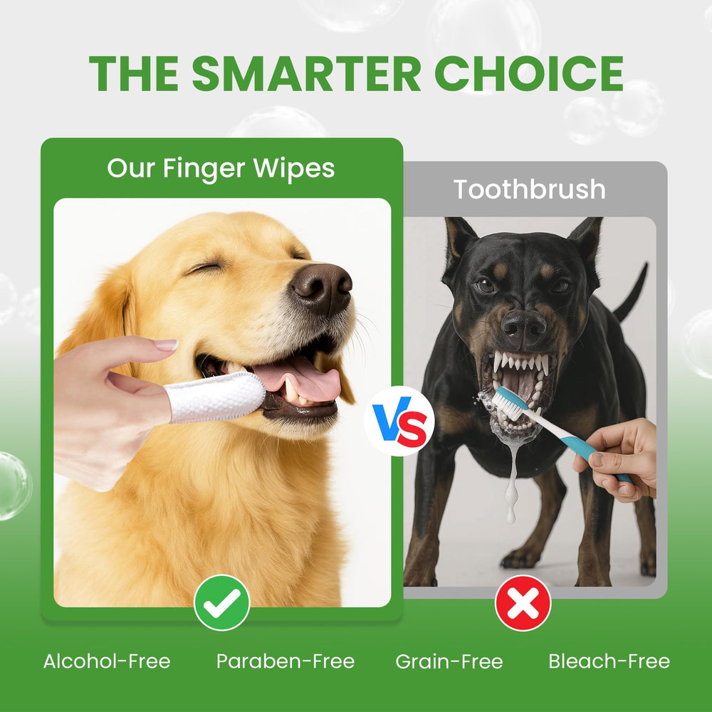 Nettoyage des dents avec les lingettes BuddyCheer