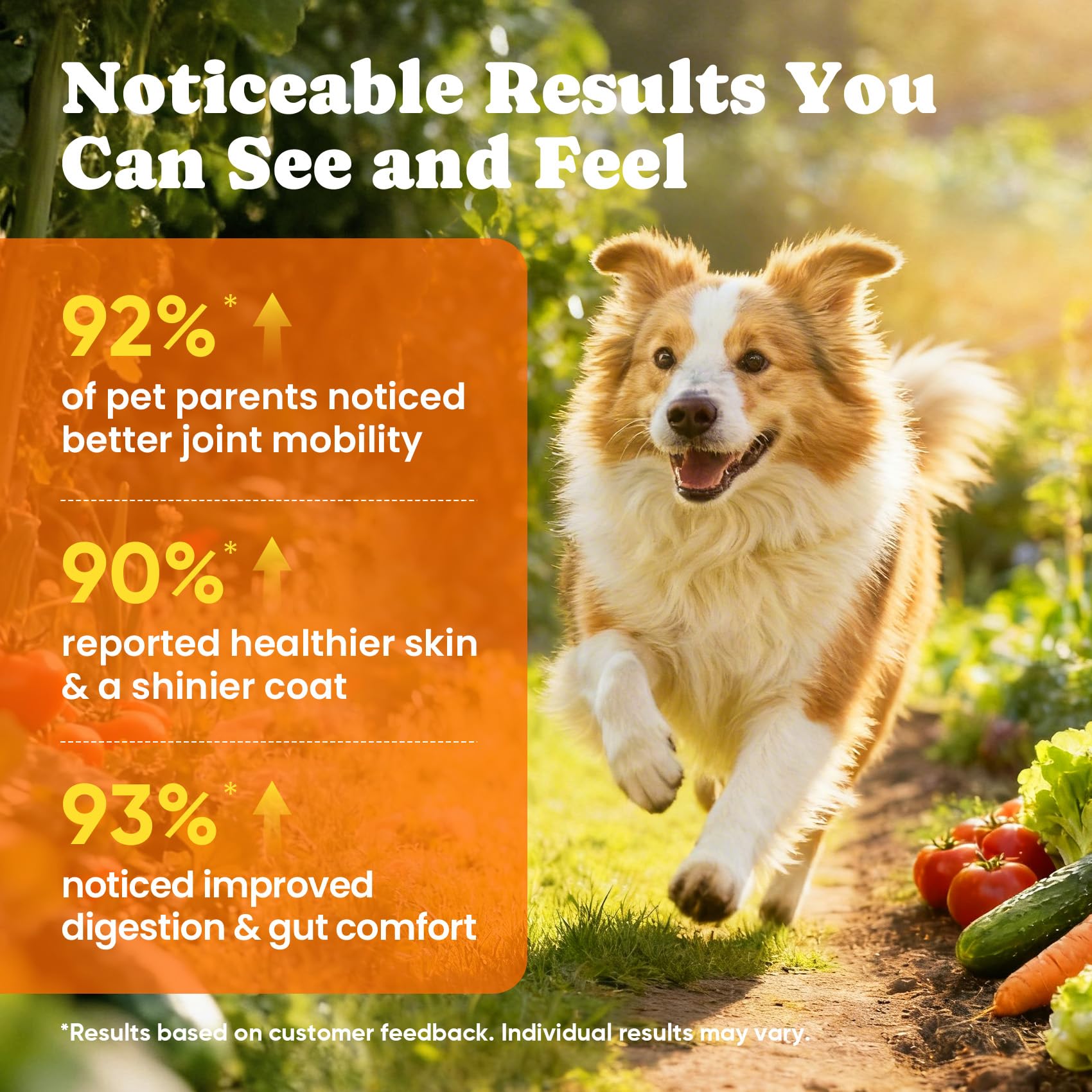 BuddyCheer Chien – oméga-3 poisson pour peau et immunité potentielle.