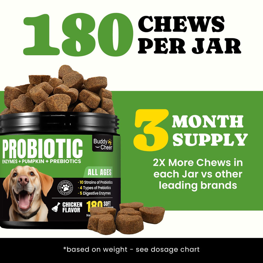 BuddyCheer Probiotiques pour chien: ingrédients naturels sans artificiels.