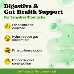 BuddyCheer Probiotiques chien – mélange multi-souches, soutien intestinal