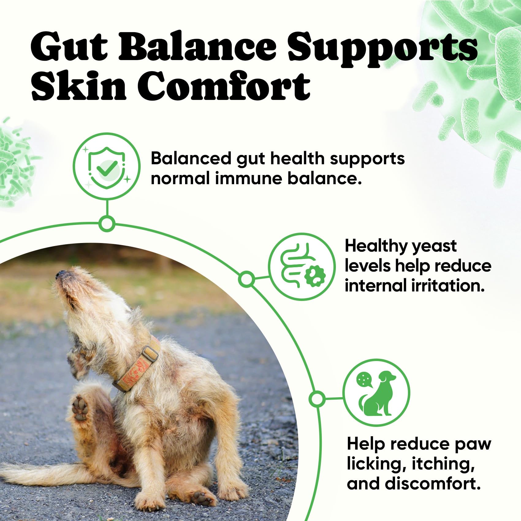 BuddyCheer Probiotiques pour chien: peau plus confortable grâce à l’équilibre intestinal.