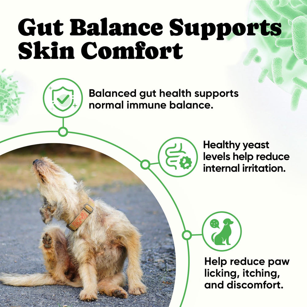 BuddyCheer Probiotiques pour chien: peau plus confortable grâce à l’équilibre intestinal.