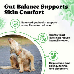 BuddyCheer Probiotiques pour chien: peau plus confortable grâce à l’équilibre intestinal.