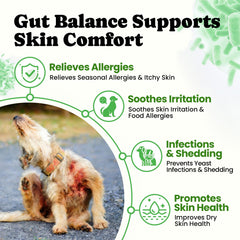 BuddyCheer Probiotiques chien – prébiotiques et enzymes, aide à la digestion