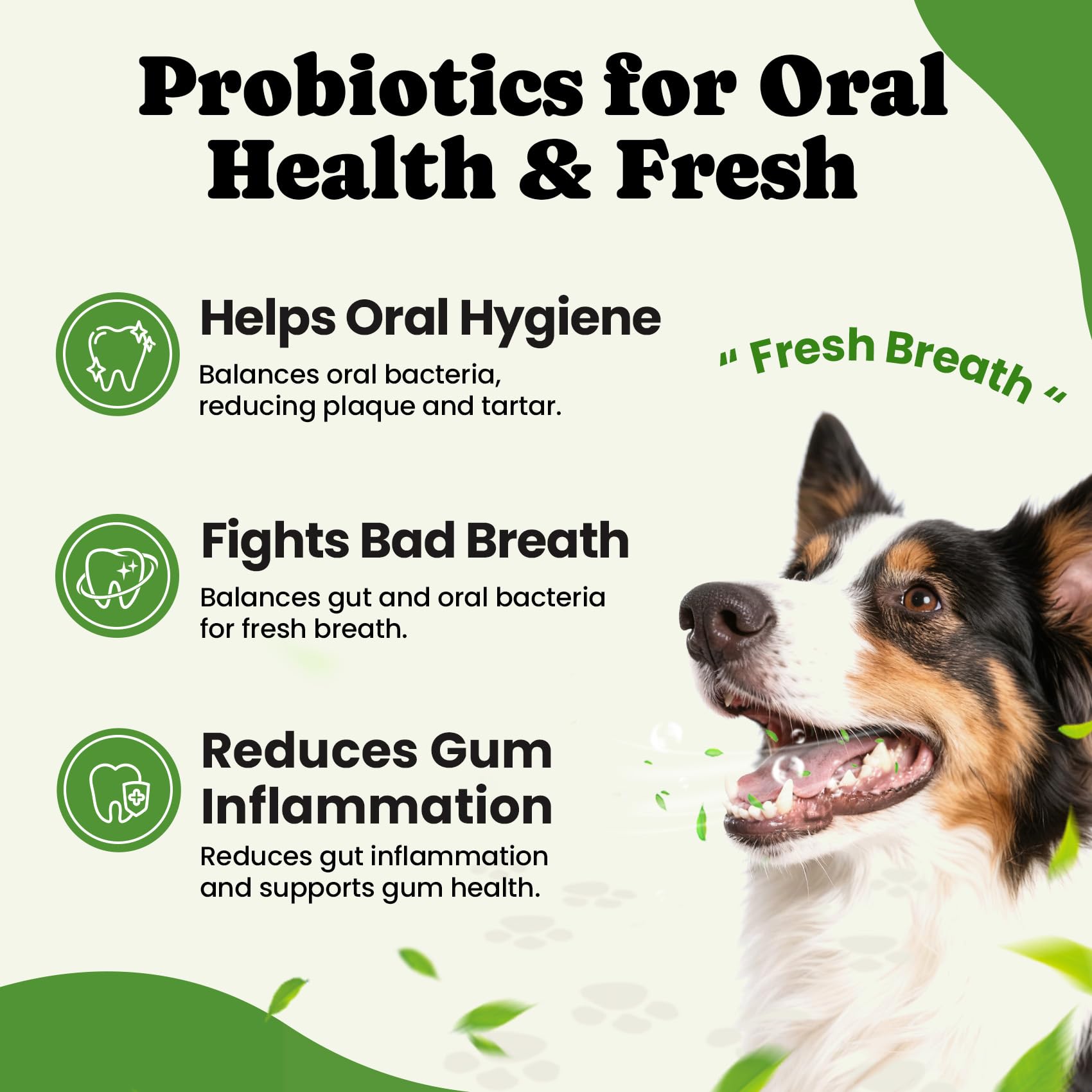 BuddyCheer Probiotiques chien – sachets individuels, dosage quotidien sans mesurer
