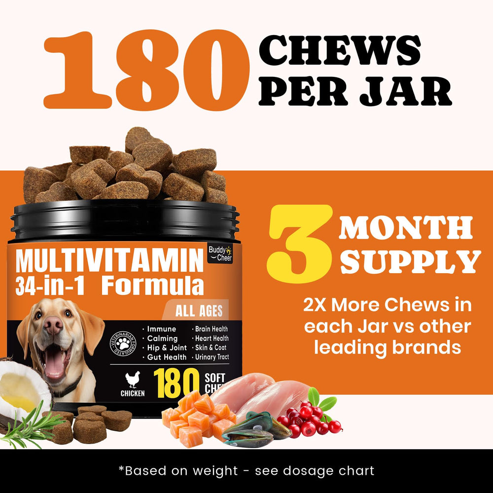 BuddyCheer Chien – probiotiques multistrains favorisant l’équilibre intestinal.
