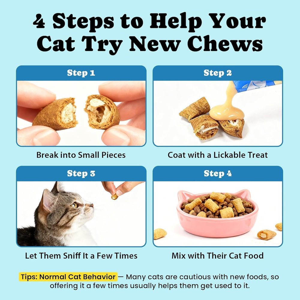 BuddyCheer : saveur poulet chat récompense et plaisir