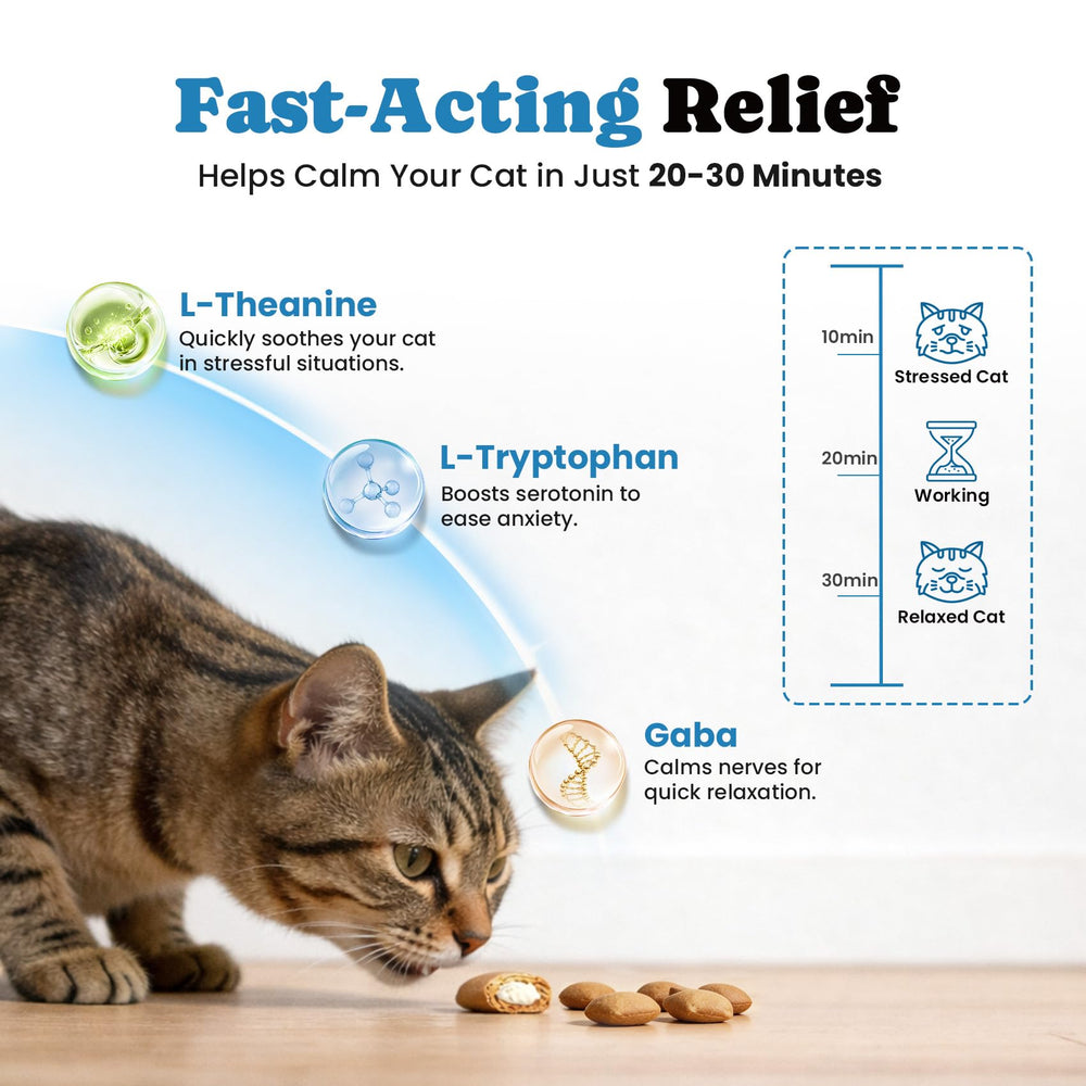BuddyCheer : texture douce friandises-chat administration facile